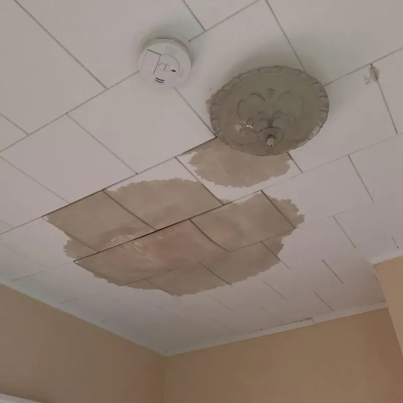 Ceiling Water Damage Repair in Hallettsville, TX