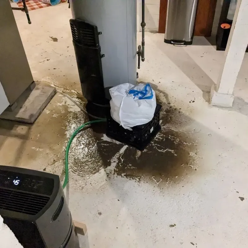 Sewage Backup Cleanup Service in Hallettsville, TX